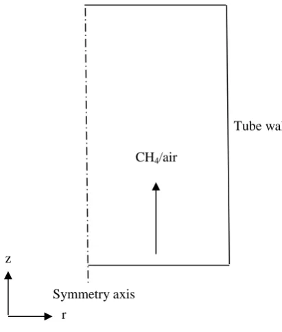 Fig. 1. Geometry of fixed bed reactor.  