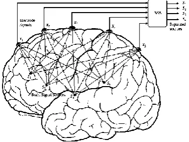 Fig 6: Conventional 10–20 EEG electrode positions for the placement of 21 electrodes [18]