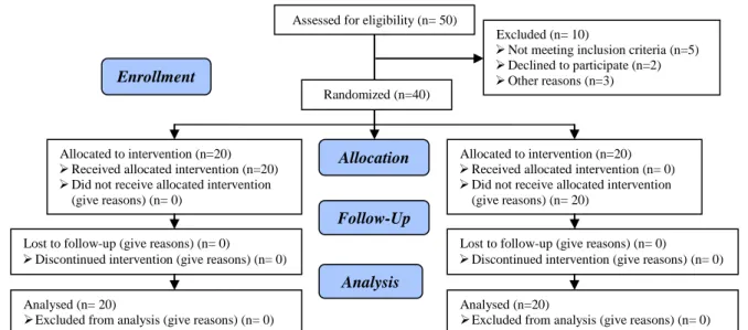 Figure 1. Consort flow diagram. 