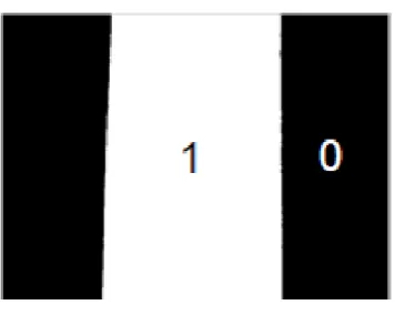Fig. 10. Multiplication of Original and Binary images.  