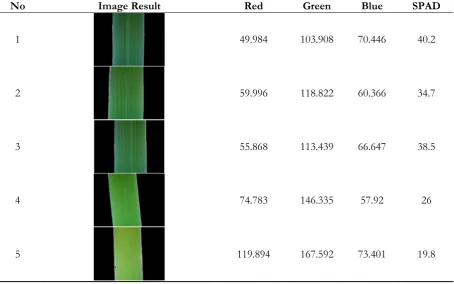 Fig. 14. Scatter Diagram of the Average of Green Colour and Chlorophyll.  