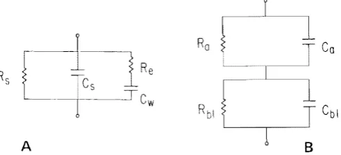 FIGURE I. mation proximation Lumped circuit aprroximations. (A) The lumped circuit ap-to a "pherical cell or tis~ue