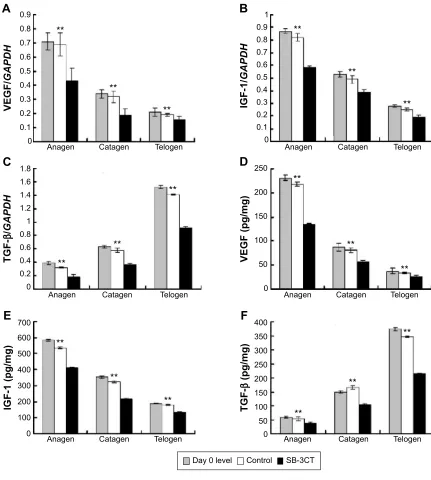 Figure 6 effect of collagenase iV inhibitor on the expression of VegF, igF-1, and TgF-β