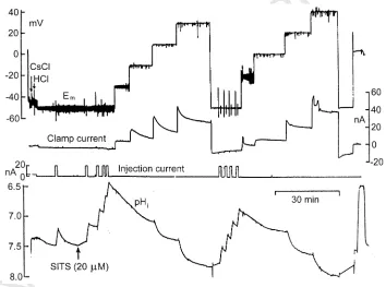 Fig. 1. Simultaneous records of membrane potential (UNCORRECTED PROOFneurons. The neuron was pretreated with CsCl to inhibit Kbeing carried by HEm), voltage-clamp current, HCl injection current, and pHi (from top to bottom) thatenabled the discovery of vol