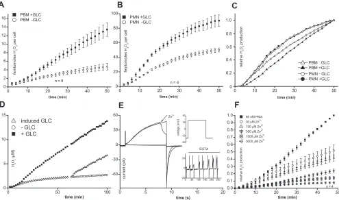 Fig. 3. H2DO2 release measured with and without glucose (GLC) in human PBMs and neutrophils