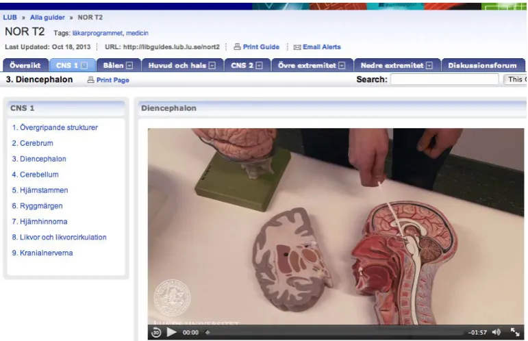 Figure 1. A screen shot of the finished digital movie platform. Clicking on the individual scroll list al-lows easy access to each theme/topic