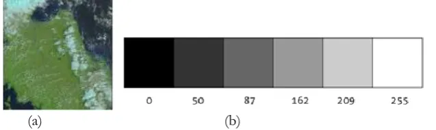 Fig. 5. (a) Example of input image and (b) Gray scale range.  