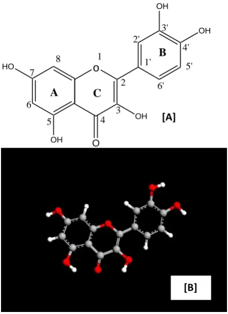 Fig. 1  (A) Chemical structure of Quercetin, (B) the AM1 optimized structure of Quercetin