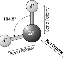 Figure 2.1. Geometry and Polarity of a Water Molecule.