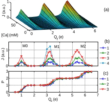 Fig. 1 (a) and (b) demonstrate our main result - the appearance of regular structure in the Ca2+current M1, M2 separated by  zero-conductance stop-bands
