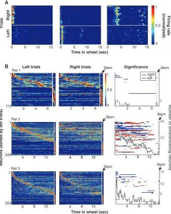 Fig. 4. Cell-assembly activity in the wheel predicts the future choice of the rat in the maze