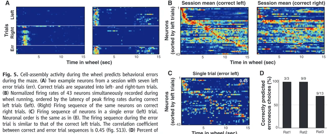 Fig. 5. Cell-assembly activity during the wheel predicts behavioral errorsNeuronal order is the same as in (B)