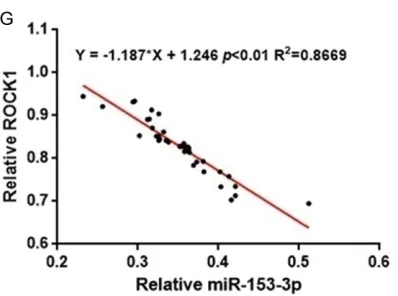 Figure 1. Depressed miR-153-3p but increased ROCK1 were expressed in clinical human plasma and in simulated atherosclerosis cells