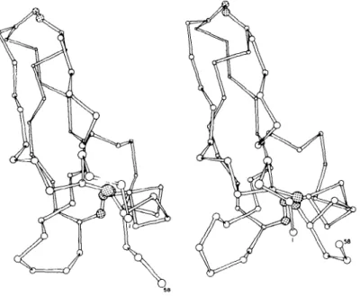 Figure 1 Drawing of  c~-carbon skeleton  plus  S-S bonds of  PTI;  left-hand  drawing is  the  X-ray structure  and right-hand  drawing is  a  typical  "snapshot"  during  the  simulation.