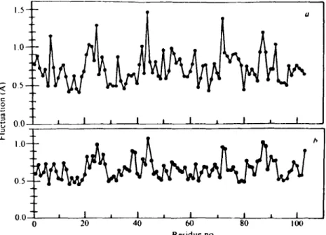 Figure  2 Calculated  and experimental  rms fluctuations  of ferrocytochrome  c;  residue aver- aver-ages are shown  as a function  of residue number:  (a) molecular-dynamics  simulation;  (b) X-ray temperature  factor estimation  corrected  for mean  diso