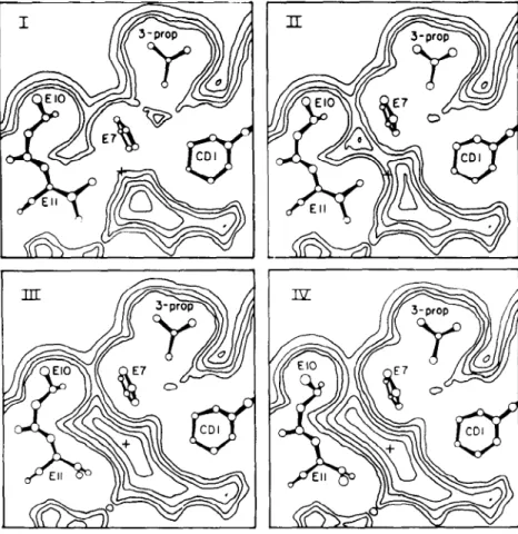Figure  5 Myoglobin-ligand  interaction contour  maps  in the hemc  (x,y) plane at  z = 3.2 ~, (the iron is at the origin) showing  protein  relaxation;  a cross marks  the iron atom  projection onto the plane