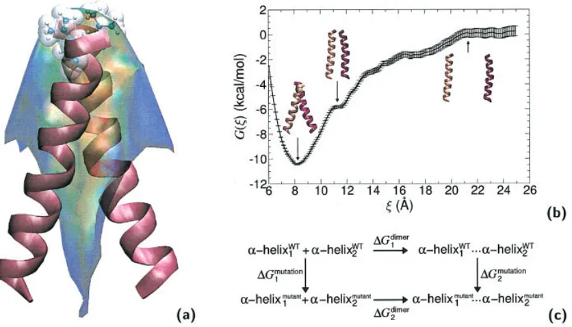 Figure 8.-helices. Using the notation of the ﬁgure, the free energy difference arising from thisperturbation is equal towild-type (WT) to the mutant form