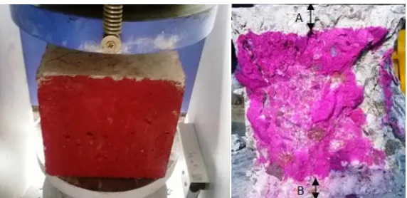 Fig. 3. (a) Compressive strength of concrete; (b) Measure of depth of carbonation. 