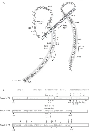 FIGURE 1Mutagenesis characterization and sequence alignments of the putative pore-