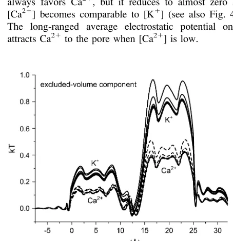 FIGURE 5The screening component of partitioningtogether, [Ca[Ca mSCi ðxÞ=kT of K1(solid lines) and Ca21 (dashed lines) in the pore