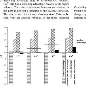 FIGURE 8Concentration proﬁles in the pore of the monovalent cation ([CaA) and Ca21 (B)