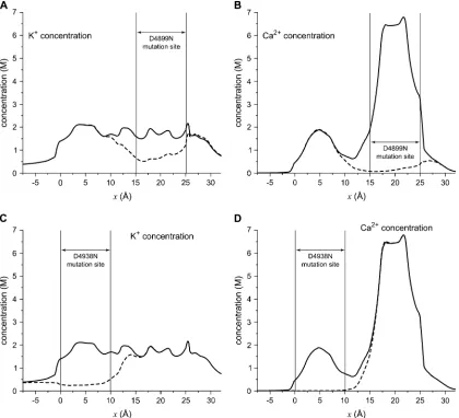 FIGURE 10Concentration proﬁles in the pore for the mutations D4899N (mutation is created by ‘‘turning off’’ the charge on the four Asp-4899s or the four Asp-4939s