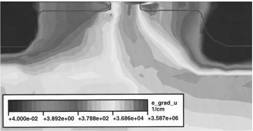 Fig. 4.Magnitude of the test function gradient.