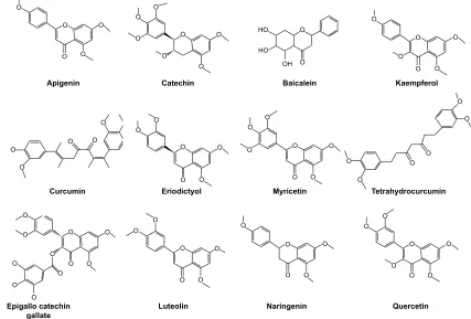 Table 1 effects of polyphenols used in the present study, as shown in previous experimental reports
