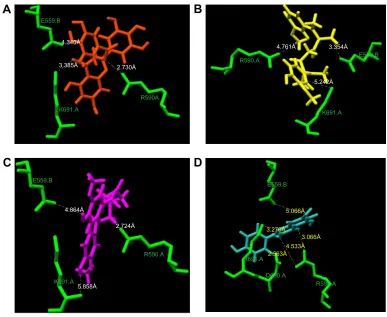 Figure 2 representation of quercetin binding on hMgr. Notes: (A) hMgr (green) is shown in cartoon representation and quercetin (cyan) as nonbonded spheres