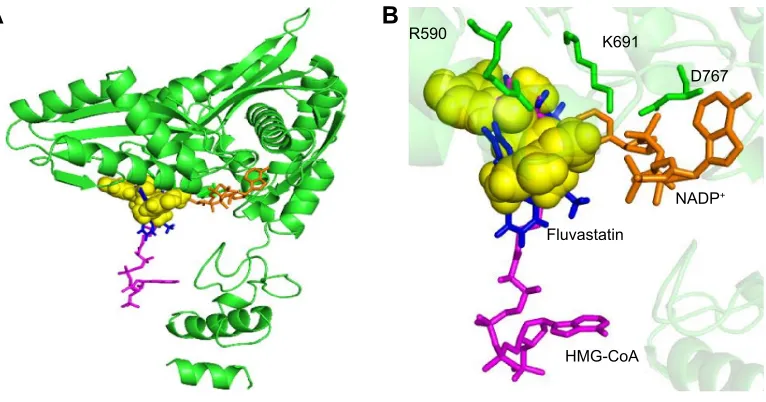 Figure 4 representation of curcumin binding on hMgr. Notes: (A) hMgr (green) is shown in cartoon representation and curcumin (yellow) as nonbonded spheres; (B) closer view of curcumin interaction
