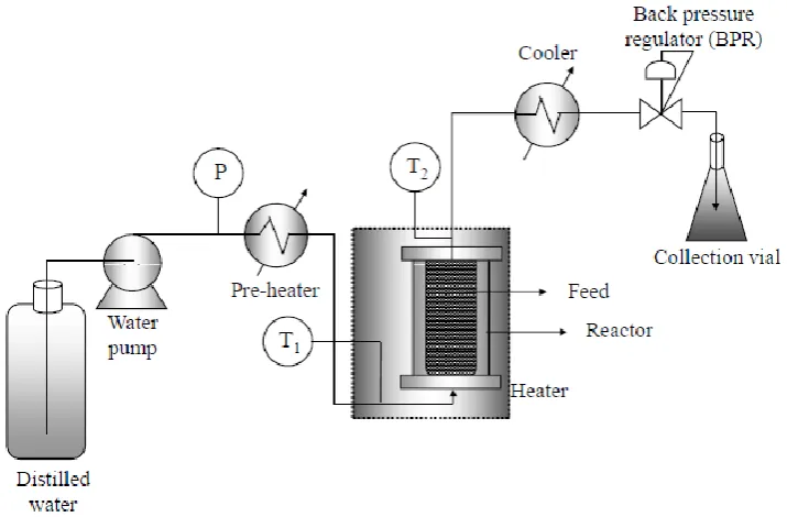 Fig. 1. Schematic diagram of hot compressed water extraction. 