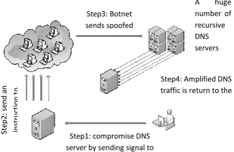 Fig. 5: DNS Attack  