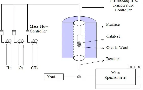 Fig. 1. Schematic diagram of oxidative coupling of methane system.  