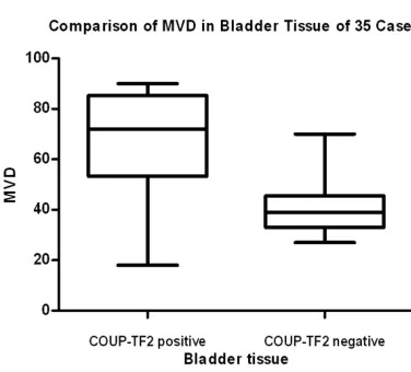 Table 1. 27 cases of bladder cancer COUP-TF2 expression and clinicopathological factors