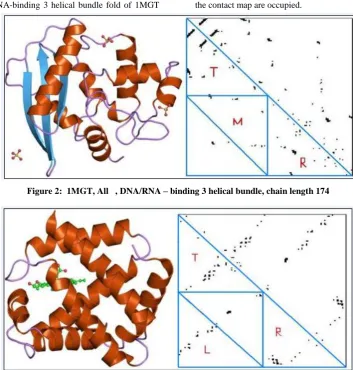 Figure 2:  1MGT, All   , DNA/RNA – binding 3 helical bundle, chain length 174  