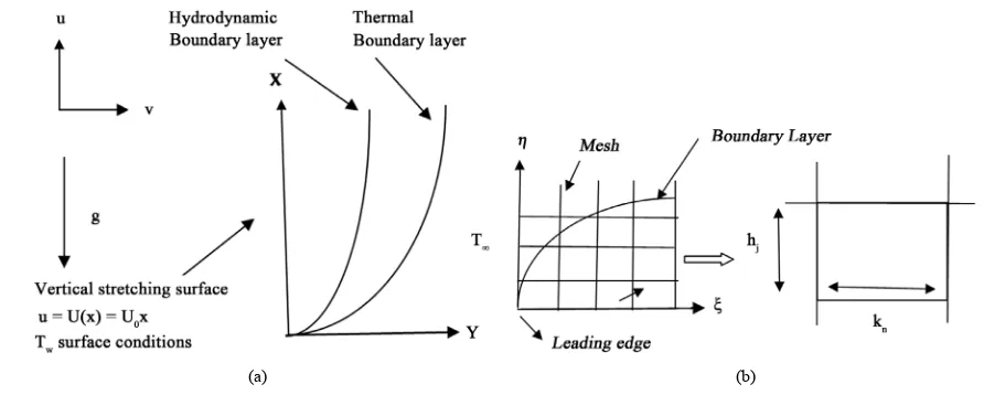 Figure 1. (a) Physical model and coordinate system; (b) Grid meshing and a Keller box computational cell