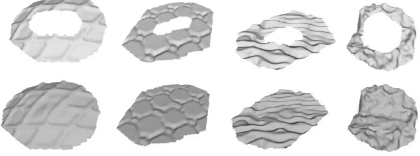 Fig. 11.  Example of relief patterns ranging from regular, irregular to stochastic patterns.(Top row) Input surfaces with big holes on them