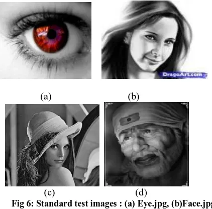 Fig 6: Standard test images : (a) Eye.jpg, (b)Face.jpg, (c)Lena.bmp,(d)Sai.jpg 