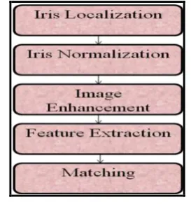 Fig 3: Five basic stages of Iris Recognition  
