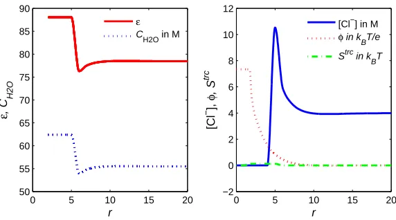 FIG. 7: Dielectric function �concentrationǫ(r) (denoted by ε in the ﬁgure), water density CH2O(r) (CH2O), Cl− CCl−(r) ([Cl−]), electric potential φPF(r) (φ), and steric potential Strc(r) (Strc)