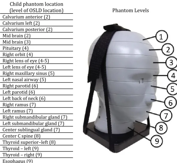 Figure 2.  Child phantom dosimeter locations. 