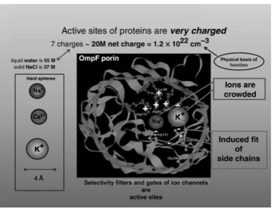 Figure 2.A “cross section” of a channel structure drawn to emphasize the crowding of ions in achannel