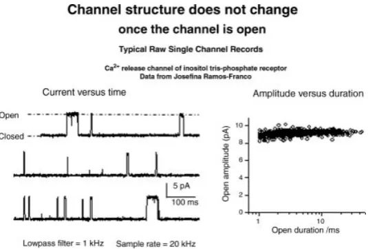 Figure 3.Typical “raw” recording of current through a single channel. The left-hand panel
