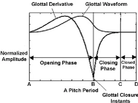 Fig 3: Glottal derivative and glottal waveform 