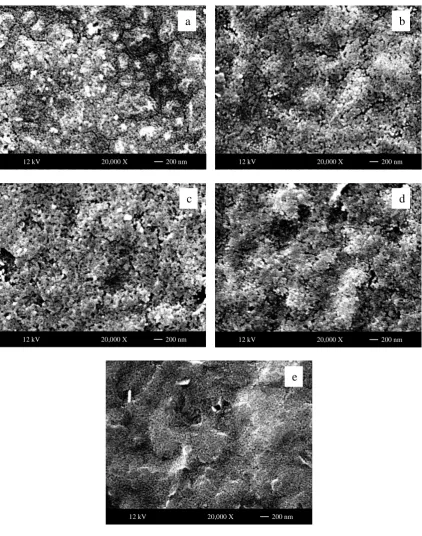 Fig. 4. SEM micrographs of Bi doped ZnO thin films annealed at 600°C with various Bi concentrations for 1 layer films (a) 0.0 at