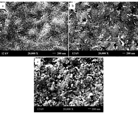 Fig. 5. SEM micrographs of 0.2 at.% Bi doped ZnO thin films annealed at 600°C with varying layers  (a) 1 layer, (b) 3 layers, and (c) 5 layers