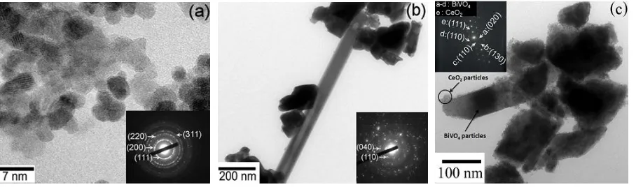 Fig. 5. TEM images and electron diffraction patterns (shown as insets) of (a) pure CeO2 nanoparticle, (b) pure BiVO4 nanoparticle and (c) 0.6BiVO4:0.4CeO2 nanocomposite