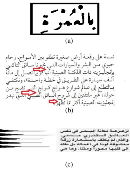 Figure 1:  (a) Problem of   dots and punctuations in Arabic Script, (b) problem of inter-line space between Arabic text lines, (c) Inter line space from histogram perspective 