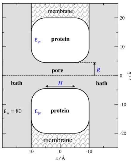 Fig. 1. The cross-section of the channel model used in our simulations. The three-the simulation box is much larger than indicated in theﬁdimensional model is obtained by rotating it around the x-axis