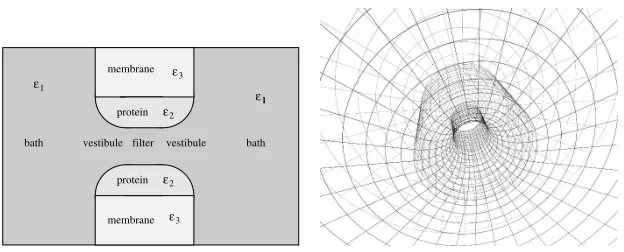 Figure 7.(a) The simulation cell for the ion channel geometry. (b) Illustration of the methodto construct the grid on the dielectric boundary surfaces.